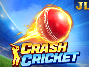 Crash Cricket icon